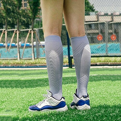    Filorosso , ,  2,   860 