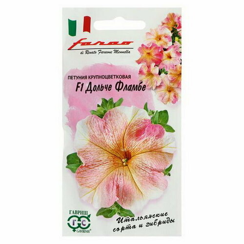 ���� ������ ������ ������� 