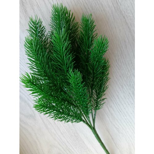 ���� ������������� ����� ��� ��� ���������, 36 ��. ���������� �����, ������ �� 335 ���