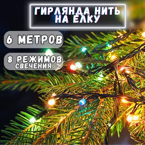 ���� �������� ������������ ���� �� ���� 6 ������/��� ����/��������� �������. ��� �����., ������ �� 220 ���