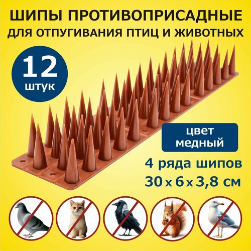 ���� ���� ���������������� ��� ������ �� ���� � �������� 300�60�38 �� �������� 12 ������, �������, ��� ������, ������ �� 2416 ���