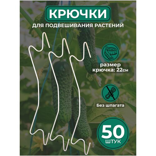 ���� ������ ��� ������������ �������� � ������� / ������� ��� ������� ������� (50 ����), ������ �� 1000 ���