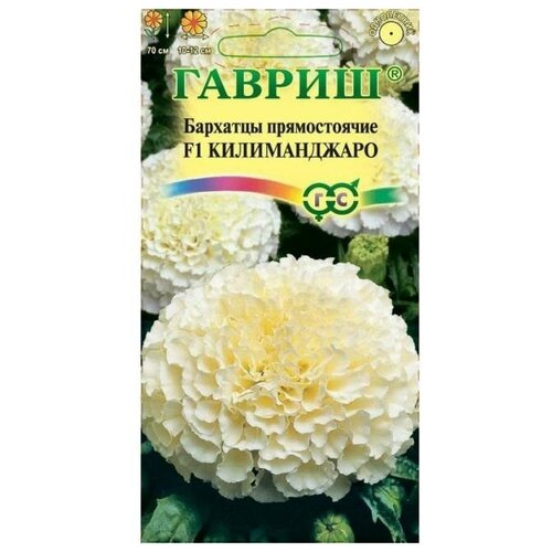 ���� ������ ������ �������� ������ (�������) 