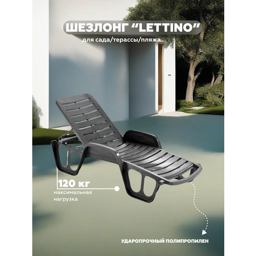 ���� ������� LETTINO FISSO, �������, ���� ��������, PROGARDEN, ���. 91006, ������ �� 12556 ���