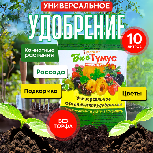 ���� �������� ���������� - ������������ ��������� ��� �������� 10 ������, ������ �� 550 ���