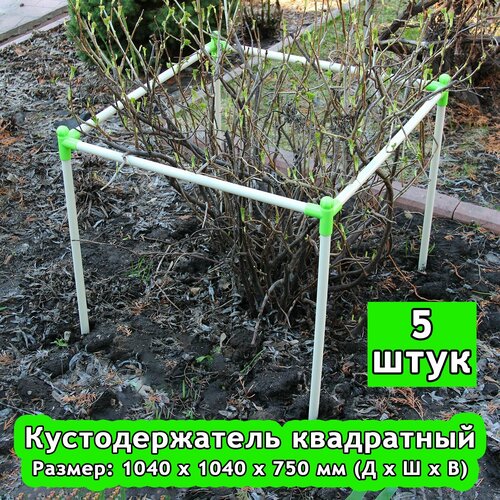 ���� �������������� 