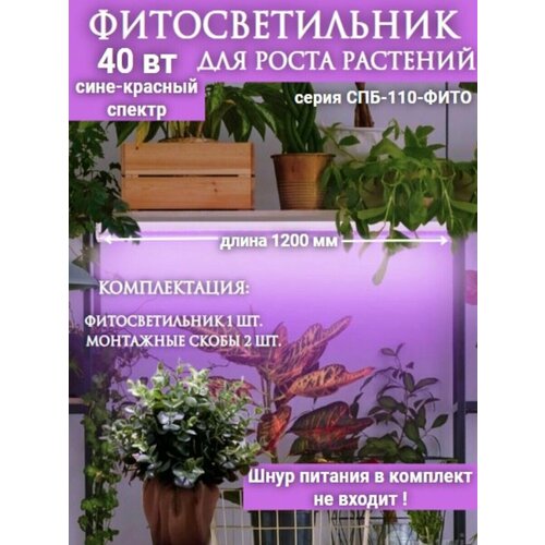 ���� �������������� ������������ ���-110-���� ����-������� ������ 40�� 1200�� IN HOME, ������ �� 800 ���