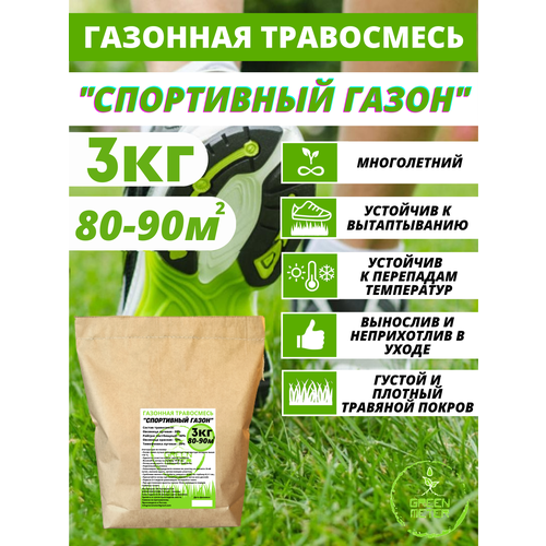 ���� ������ �������� �����, ����� �������� 3 ��, ������ �� 1421 ���