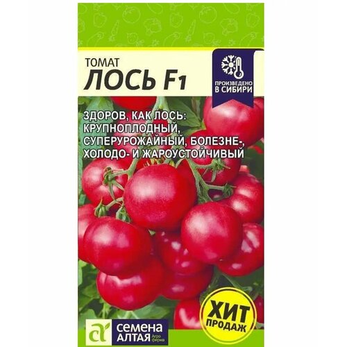 ���� ����� ���� F1 �/� 3��, ������ �� 340 ���