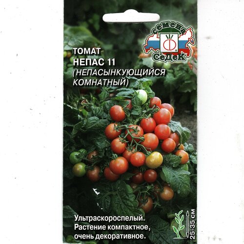 ���� ����� ����� 11, ���������, ���������������, ����������������� ( 1 ��: 0,1 � ), ������ �� 69 ���