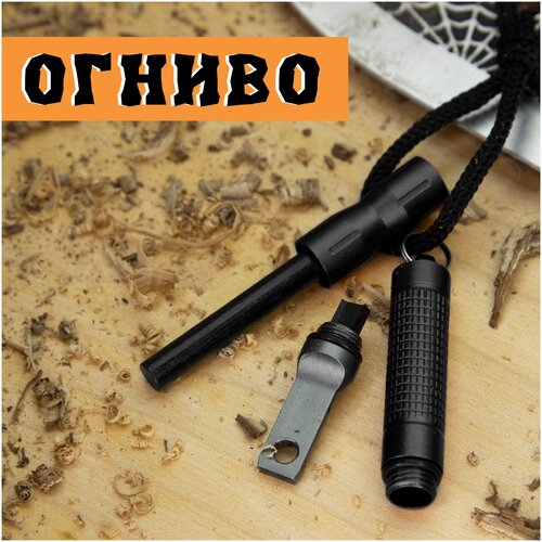 ���� ������ ��� ������� ���������, �������� / � �������� ���������� / ������, ������ �� 590 ���