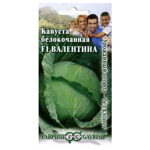 ���� ������ ������ ������� ������������ ��������� F1 0.1 �, 10 ��., ������ �� 457 ���