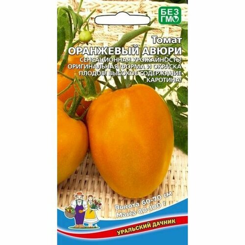 ���� ������ ����� ��������� ����� (�����������) 20��, ������ �� 42 ���