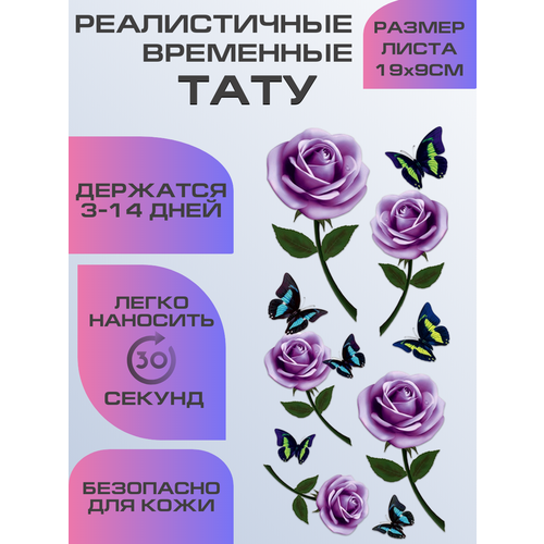 ���� ���� ���������� ��������������, ��������� ���� ����, ������ �� 399 ���