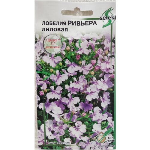 ���� ������� �������, �������, 10 �����, ������ �� 265 ���