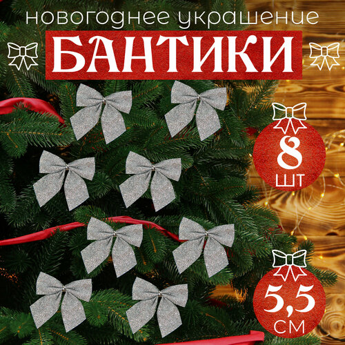 ���� ����� �� ���� ����������� 8�� 5,5��, ������ �� 281 ���