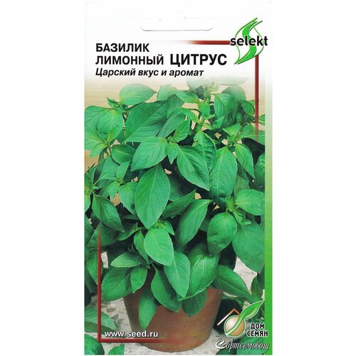 ���� ������� �������� ������, 130 �����, ������ �� 241 ���