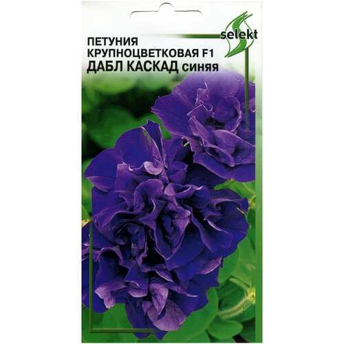 ���� ������� �������� F1 ���� ������ �����, 10 �����, ������ �� 304 ���