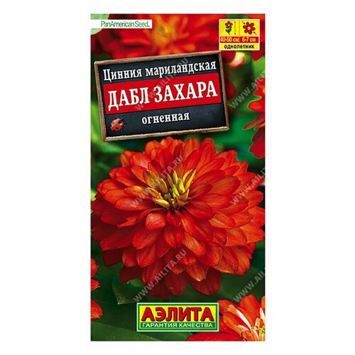 ���� ������. ������ 