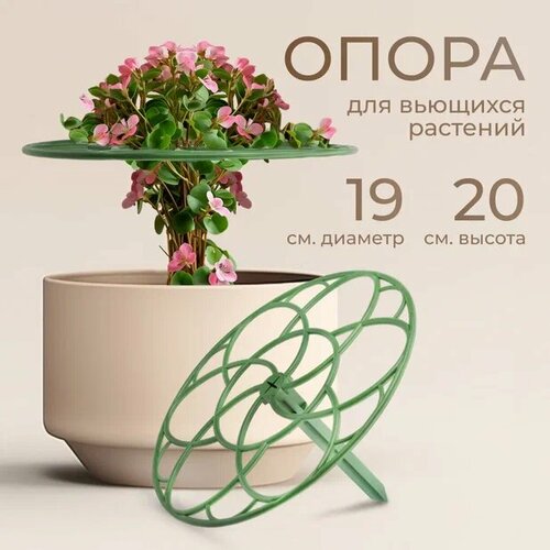 ���� ��������� ��� ������, ��� ��������, ��������������, ����� ��� ��������, ������ S 19�20 �� - 1 �����, ������ �� 269 ���