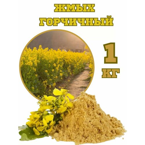 ���� ���� ��������� 1 ��, ������ �� 200 ���