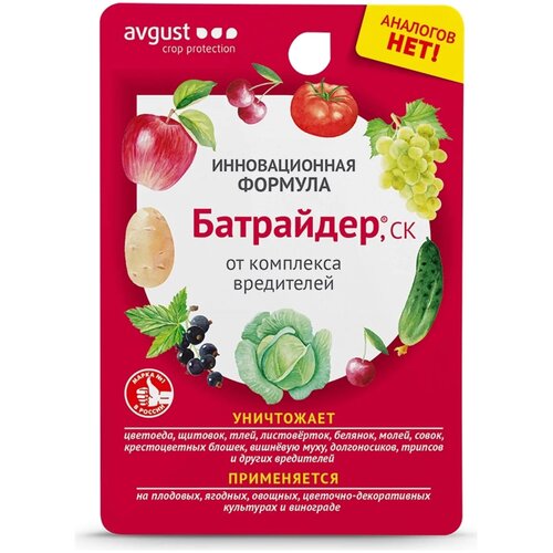 ���� Avgust �������� �� ���������� ���������, 10 ��, 10 �, ������ �� 161 ���