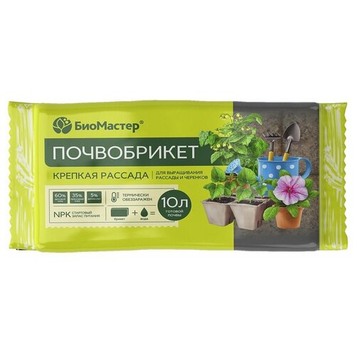 ���� ����������� 