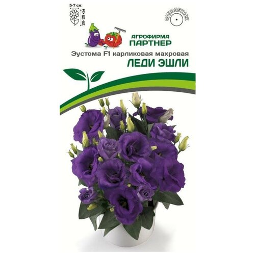 ���� ������ ������� ��������������� ���������� �������� 