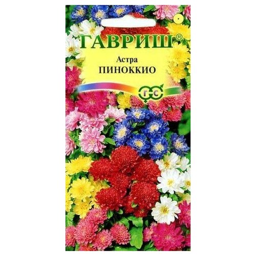 ���� ������. ����� 