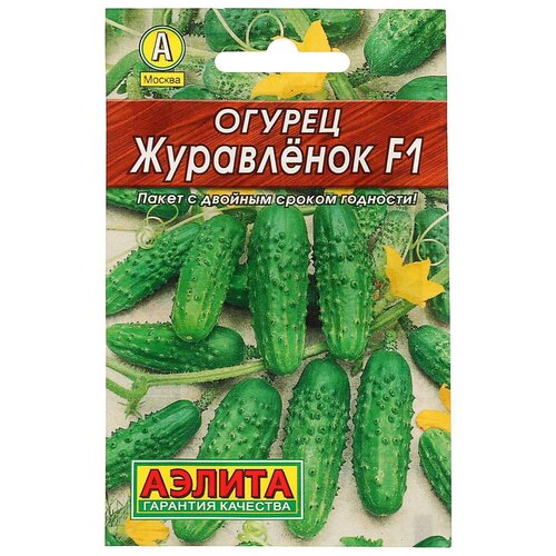 ���� ������ ������ 