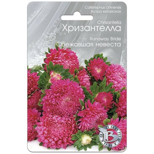 ���� ������ ����� ��������� ����������� ��������� ������� (30 �����), ������ �� 222 ���