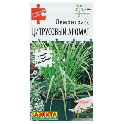 ���� ������ ���������� 