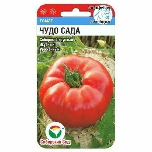 ���� ������ ����� ���� ���� (������������) (��������� ���) 20��, ������ �� 150 ���