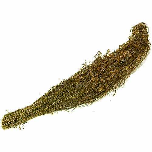 ���� ����� �������� ���� �����, �� �������, ��� ����, ������ 2024, ������ �� 471 ���