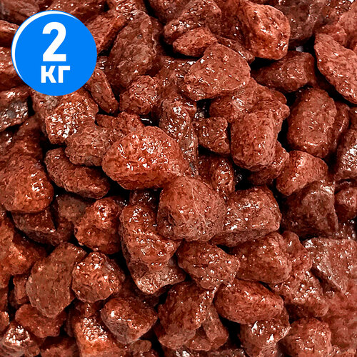 ���� ����������� ����� ��� ��������, ����������� � ��������, Zoo One, ��������� ��������, 