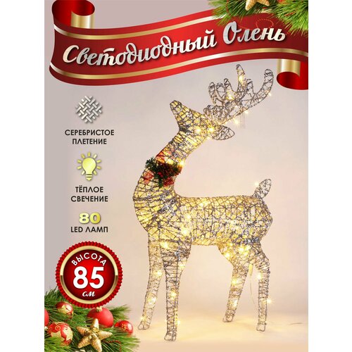 ���� ����� ���������� ������������ ���������� 80 �� ����������, ������ �� 7900 ���