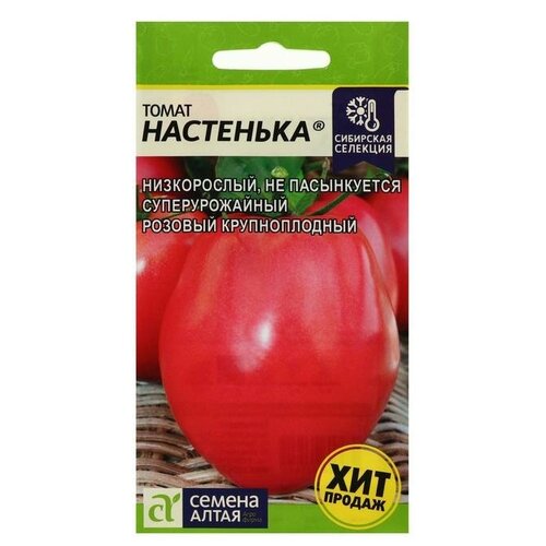 ���� ������ ����� 