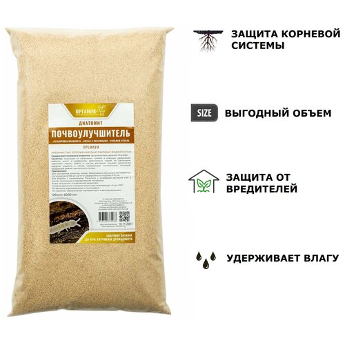 ���� �������� ������� 5� ��������������� �������, ������ �� 515 ���