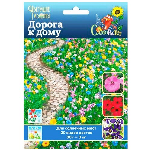 ���� ������. ����� �������� 