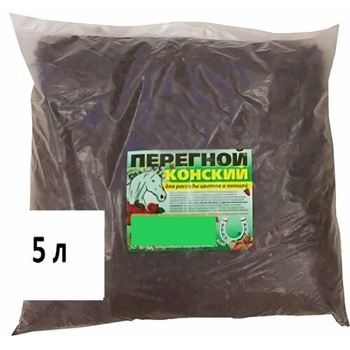 ���� ��������� �������� ������� 5 �. ����������� ����� ��� ���������� �����. ����������� �����������, �������� ����������� � �������� �������� ������, ������ �� 580 ���