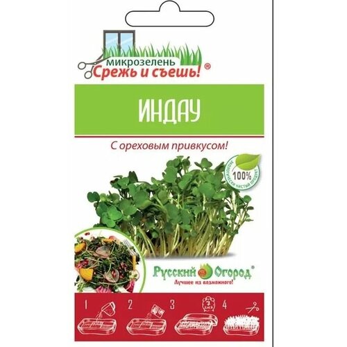 ���� ����������� 