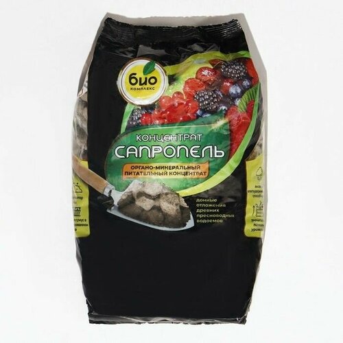 ���� ��������� 