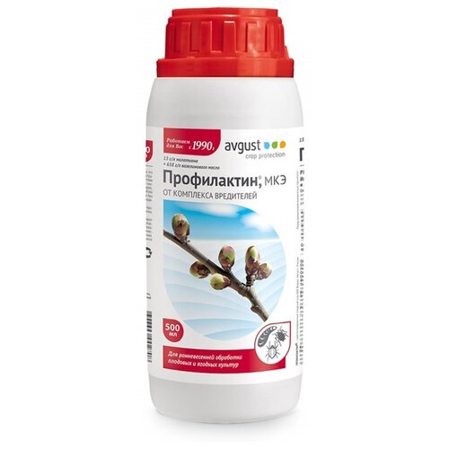 ���� Avgust �������� �� ��������� ���������� ����������� ���, 500 ��, 500 �, ������ �� 592 ���