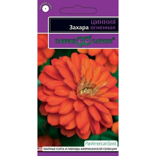 ���� ������ ������ ������ ��������, 6��, ������, PanAmericanSeed, ������ �� 247 ���