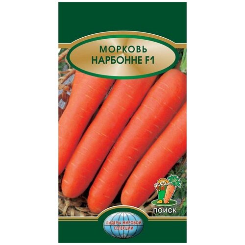 ���� ������ ������� ����� ��������, 0.5 �, ������ �� 172 ���