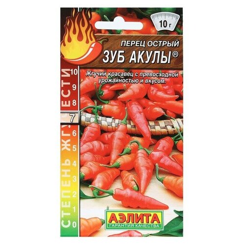 ���� ������. ����� ������ 