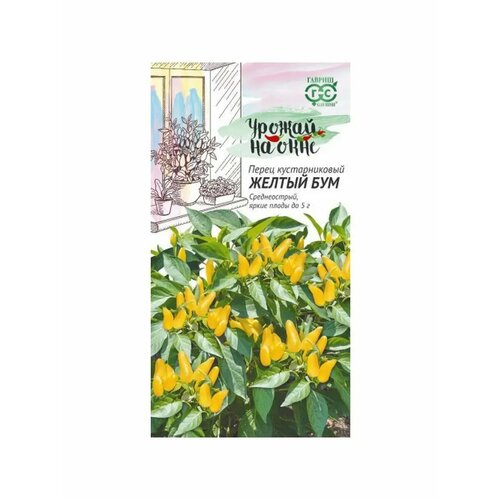 ���� ������. ����� ������������� 