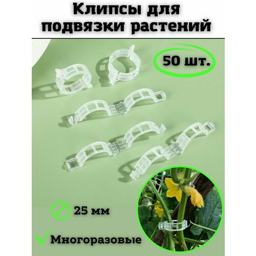 ���� �������� ��� �������� SaRo house �����, ������ �� 197 ���