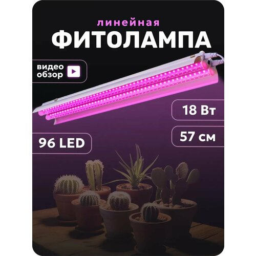 ���� �������� ��������� ��� ����������� � ������, ������ �� 2082 ���