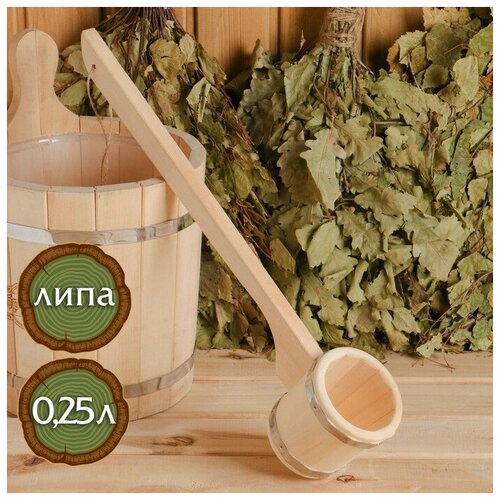 ���� ������ �� ���� 